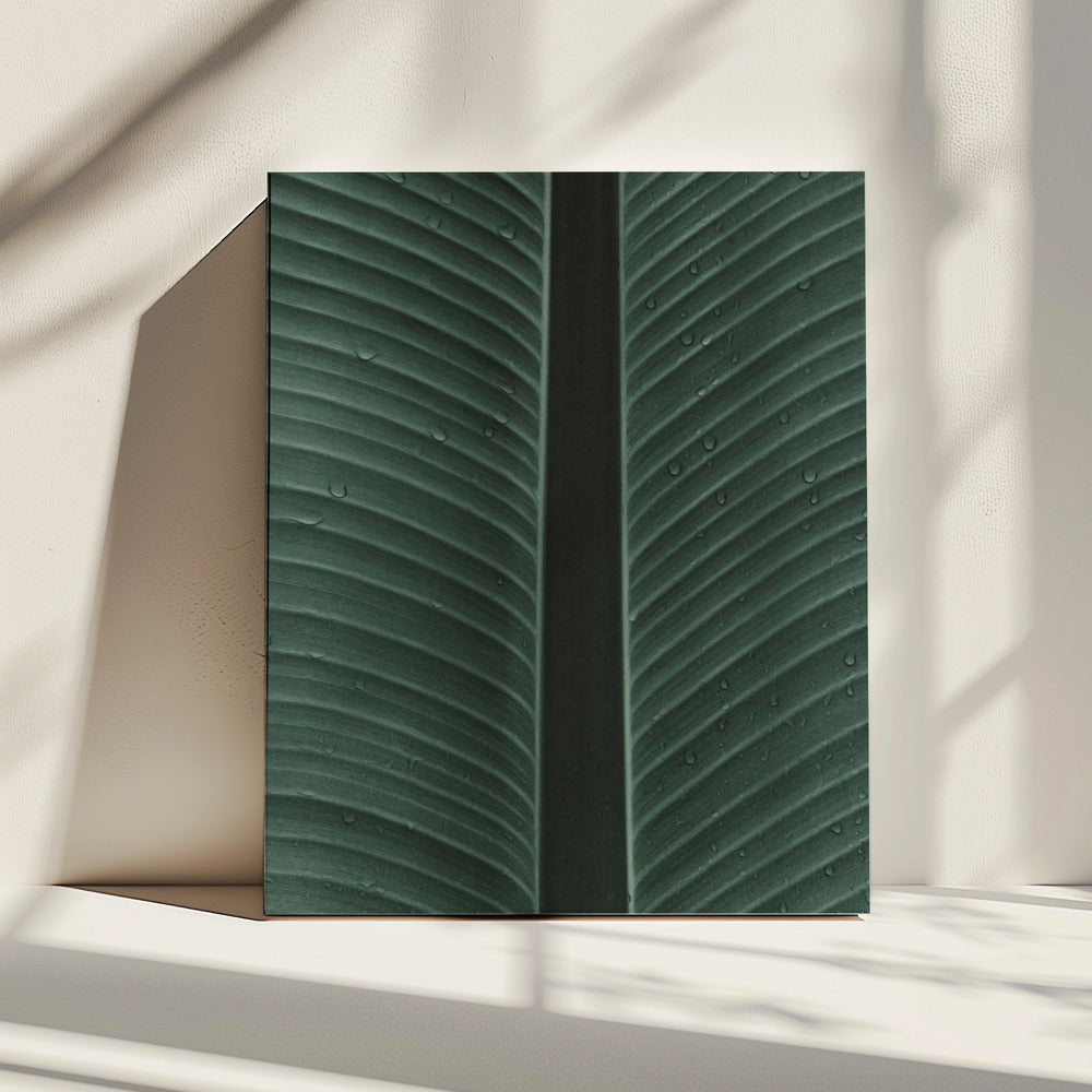 Dewy Leaf Symphony | Canvas