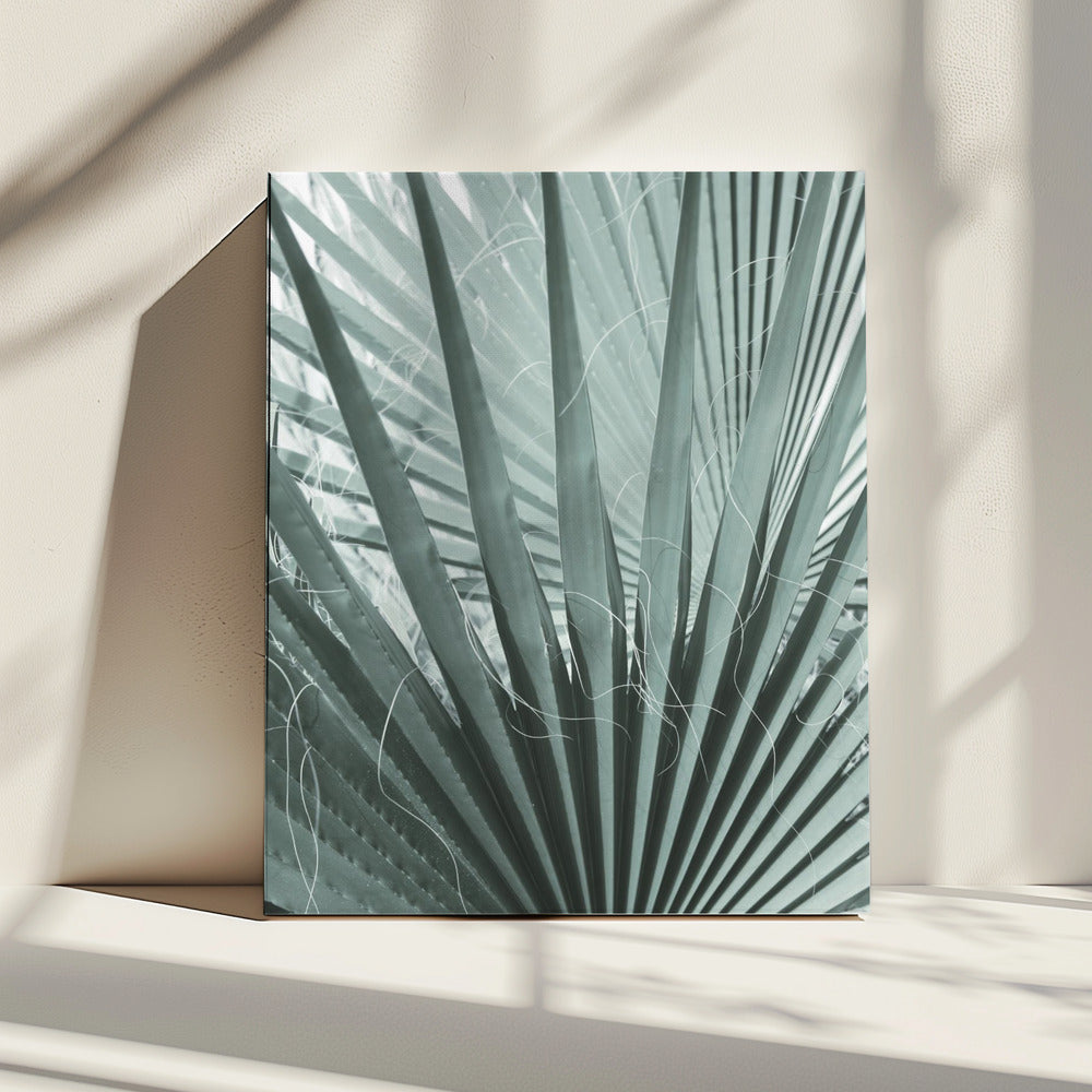 Wedelgeometrie | Leinwand