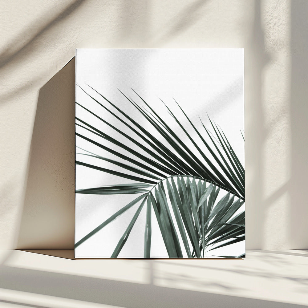 Tropische Eleganz | Leinwand