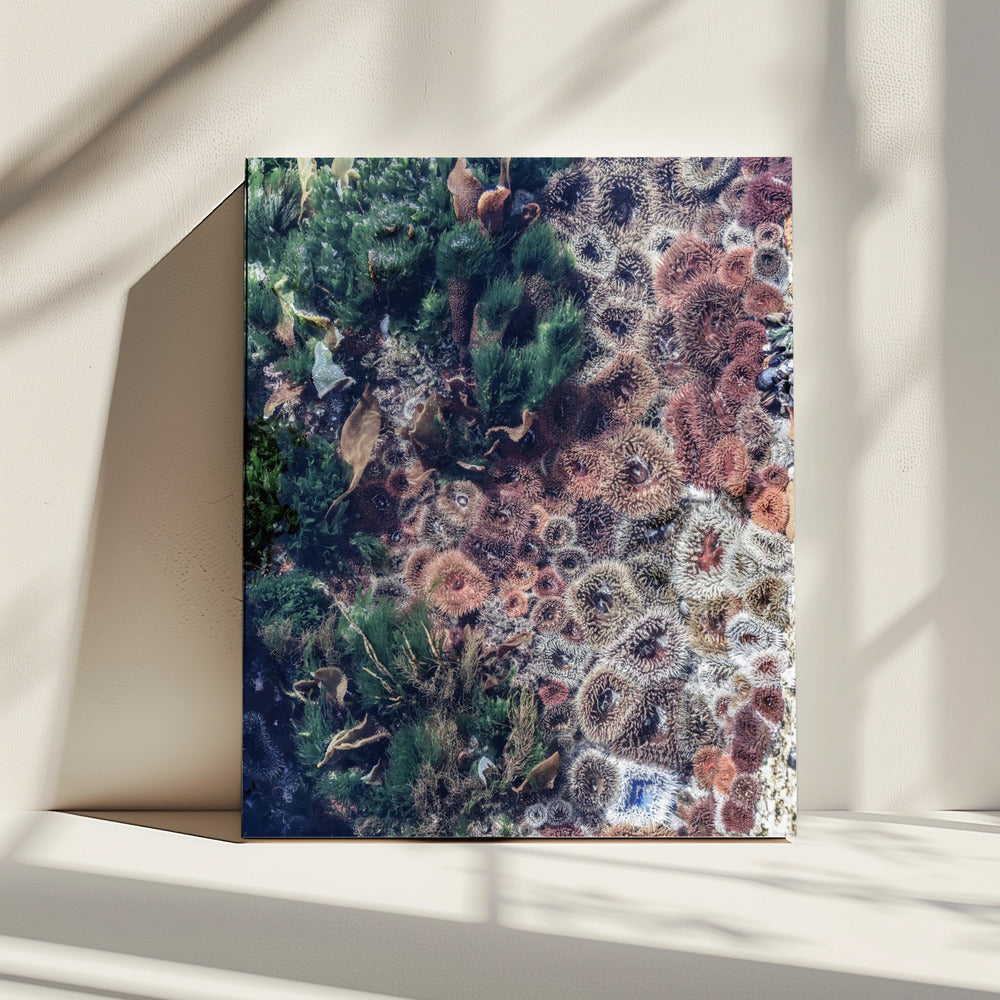 Ocean's Tapestry | Canvas