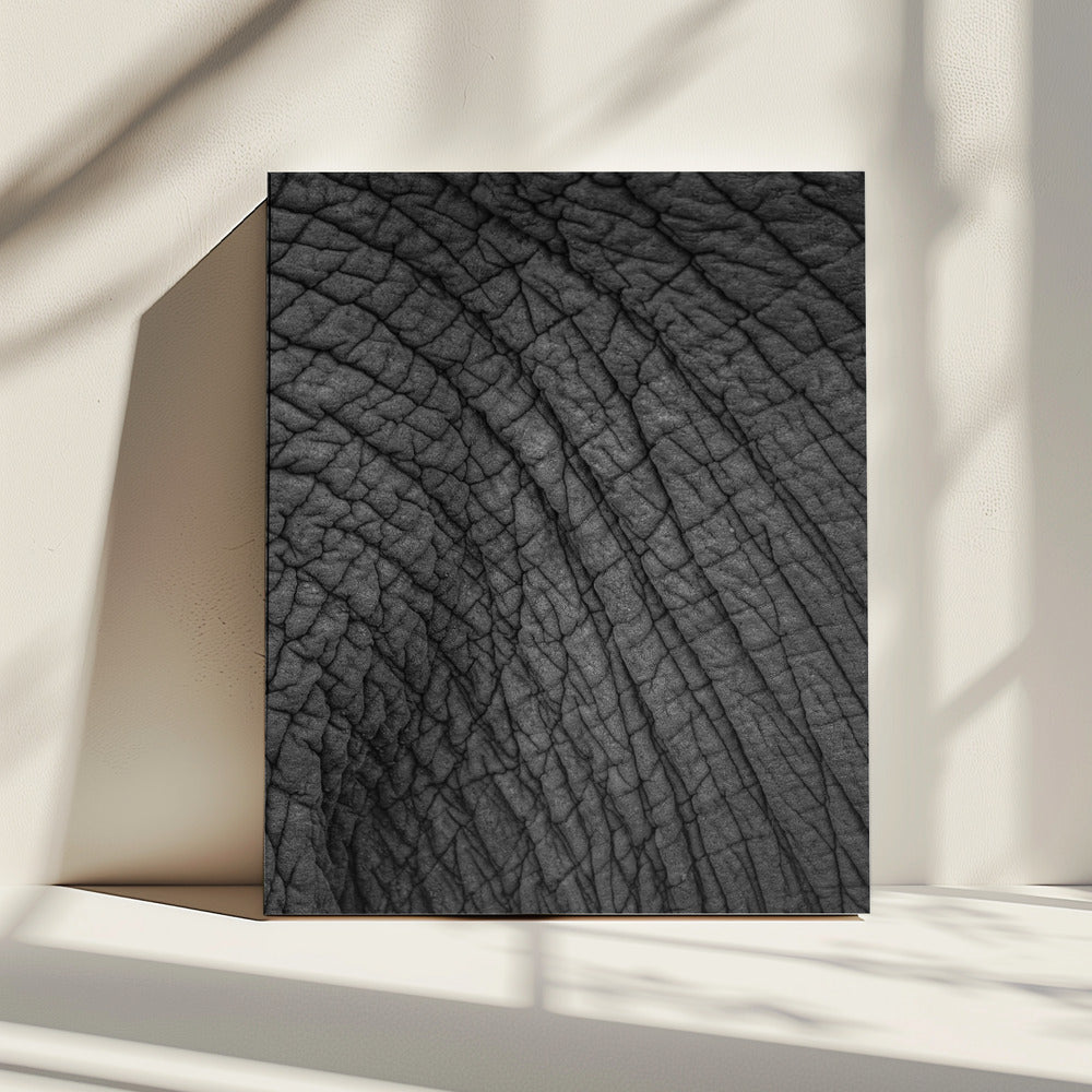 Elephant's Tapestry | Canvas