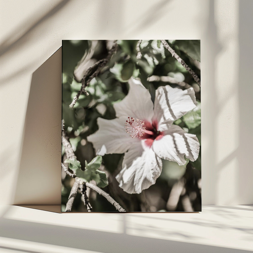 Flüsternde Blüte | Leinwand