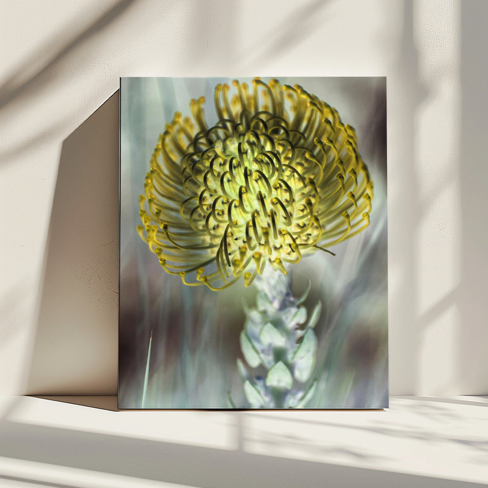 Goldene Blüte | Leinwand