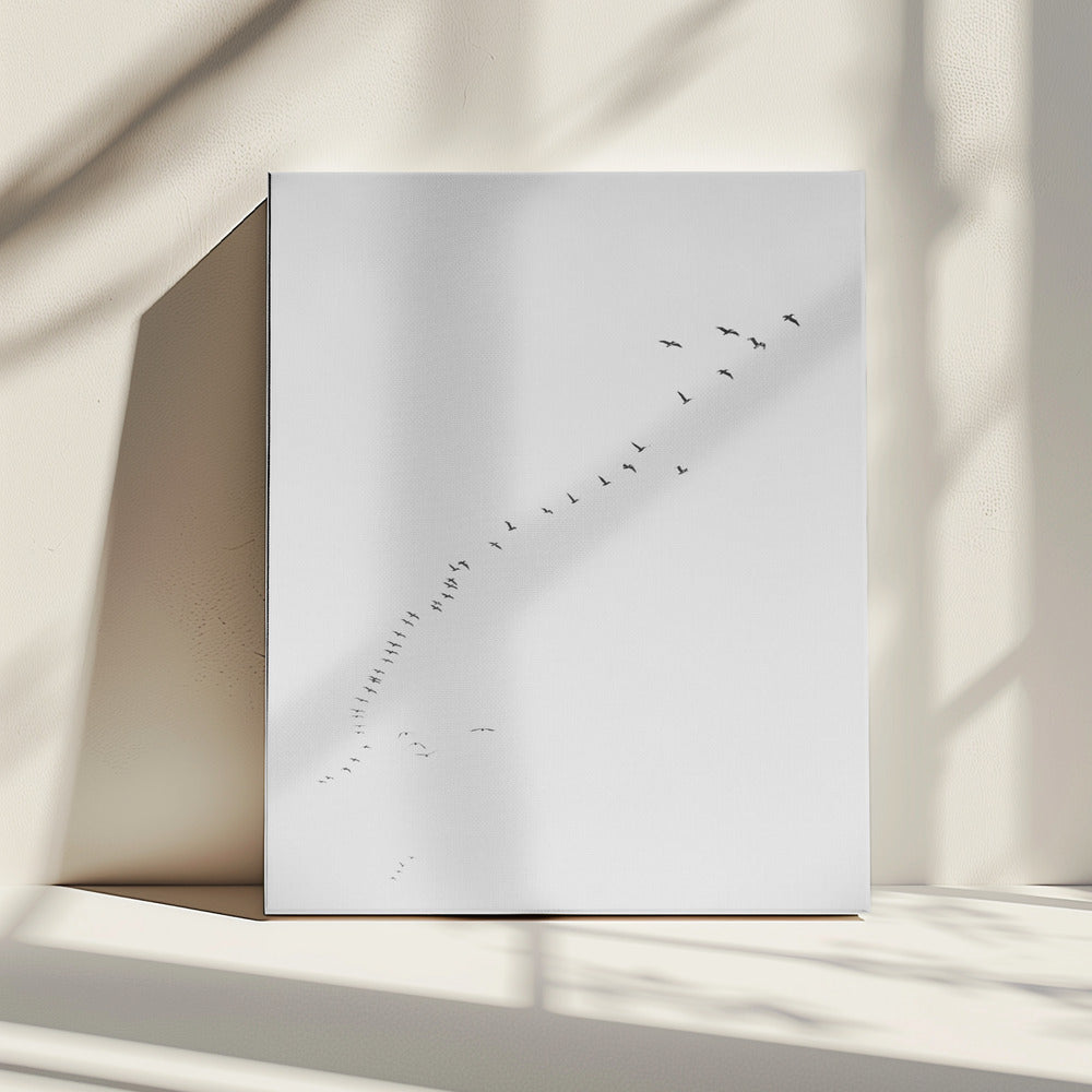 Formationsflug | Leinwand