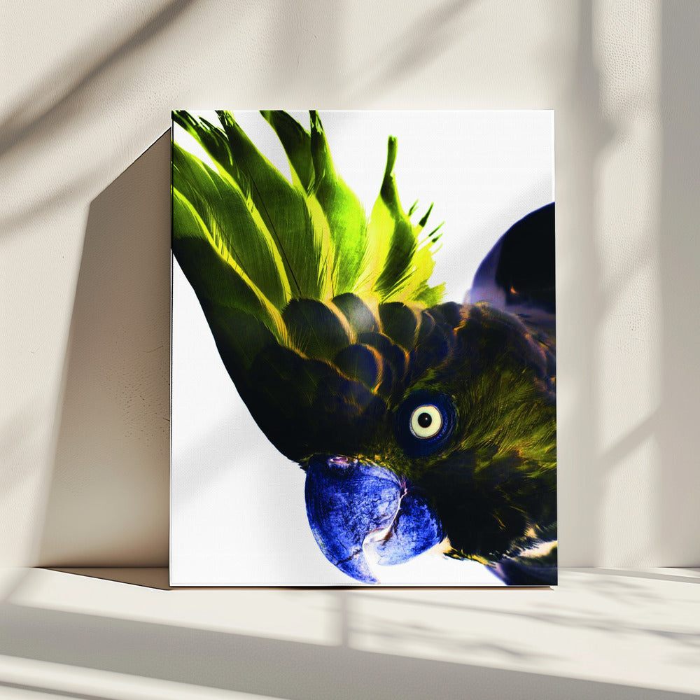 Lebendiger Vogelblick | Leinwand