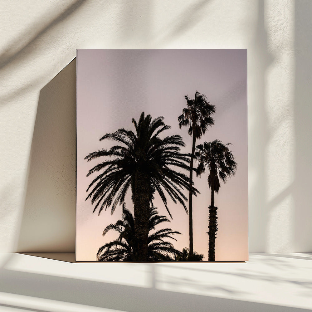 Silhouette von Palmen | Leinwand