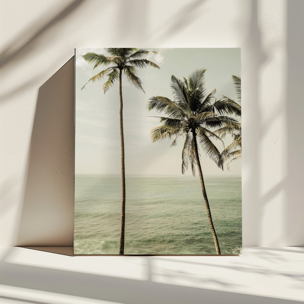 Palmen am Meer | Leinwand