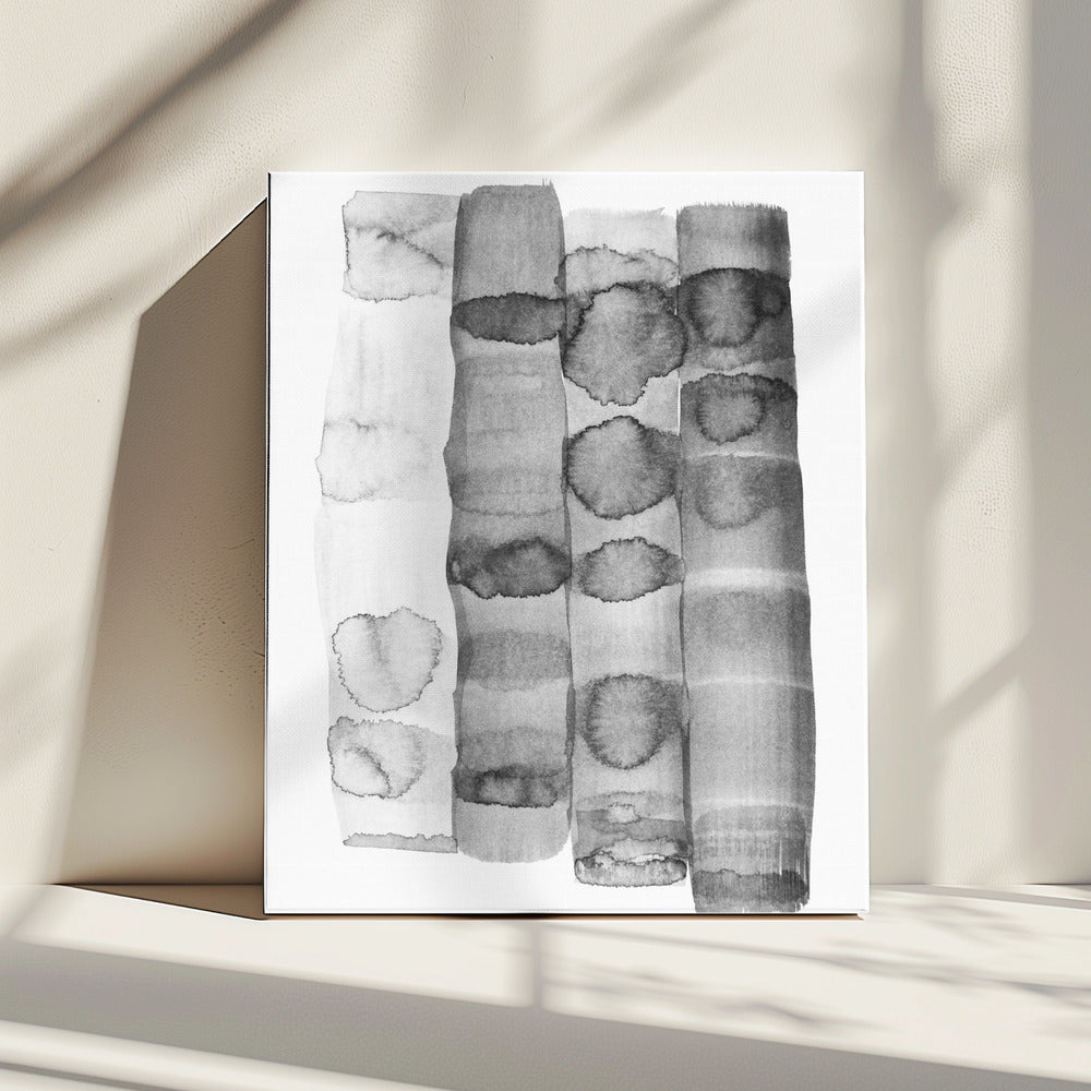 Seed Pod | Canvas