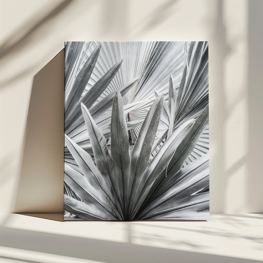 Silver Spray | Canvas