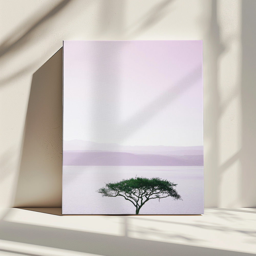 Baum an einem ruhigen See | Leinwand