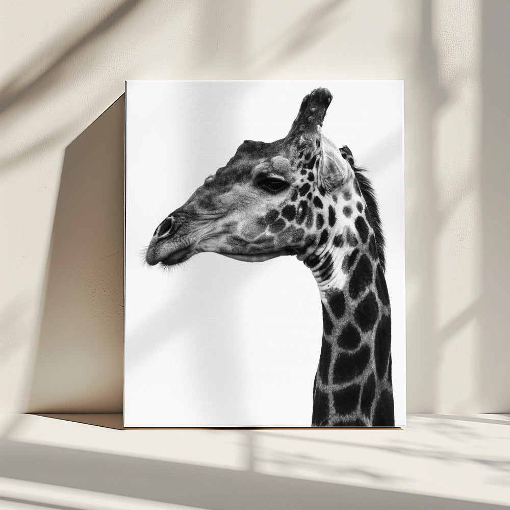 Komplizierte Muster der Haut einer Giraffe | Leinwand