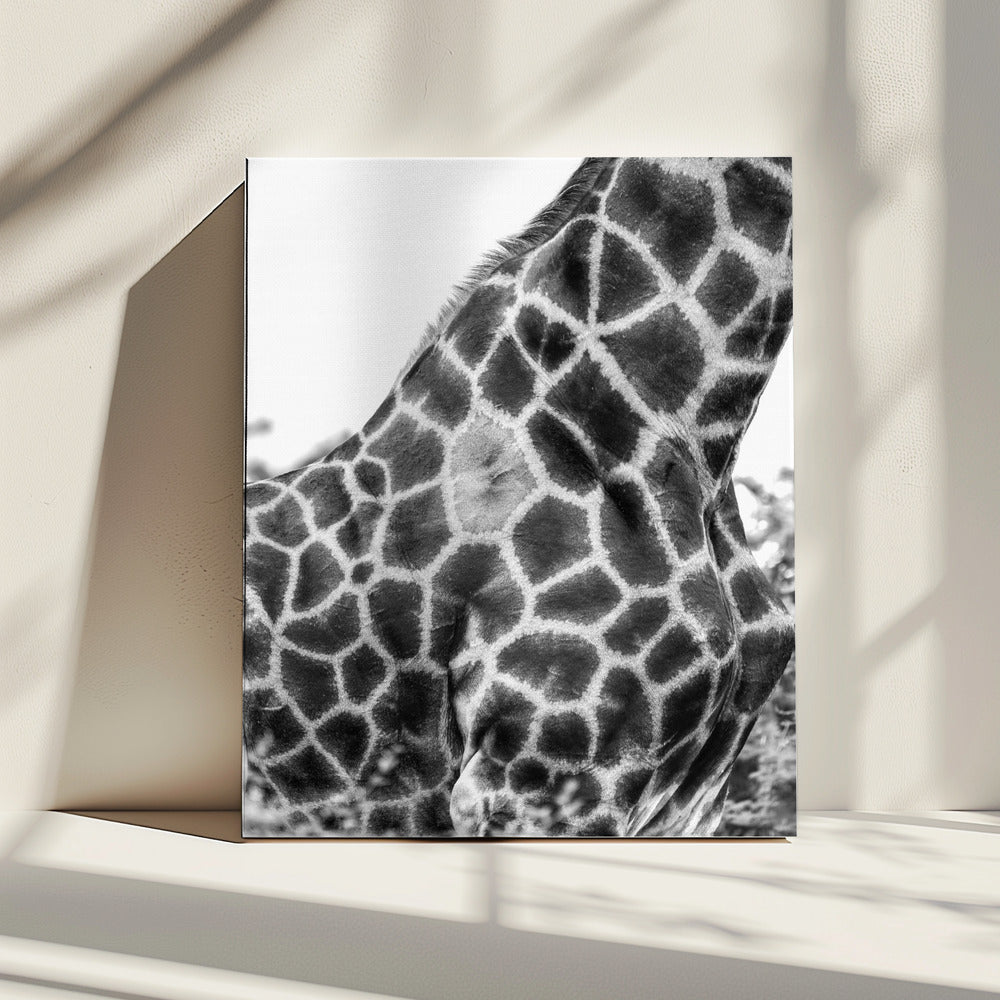 Komplizierte Muster der Haut einer Giraffe | Leinwand