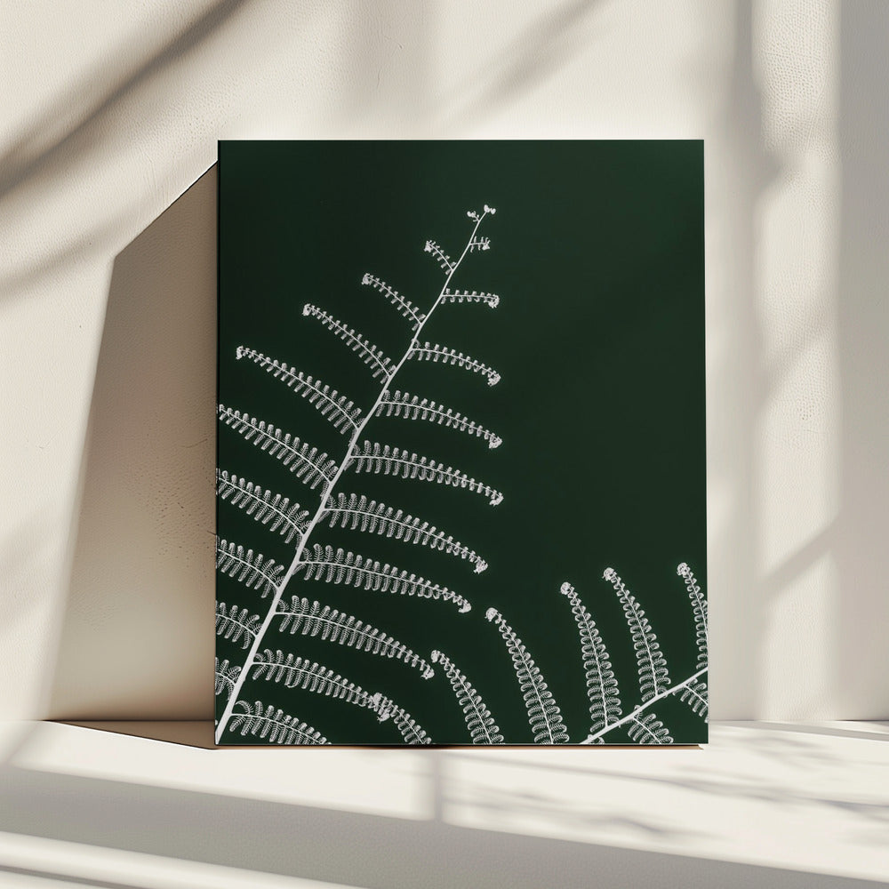 Farns sanfte Kurve | Leinwand