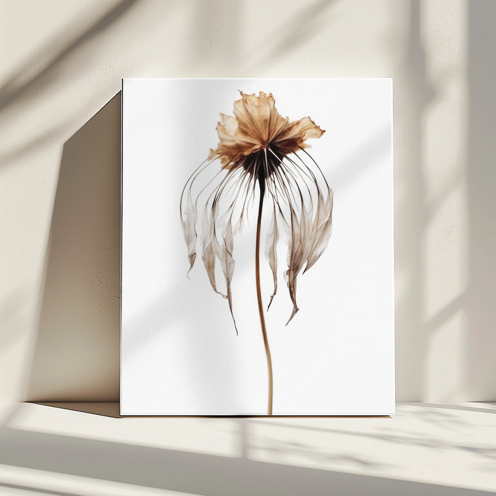 Verblasste Eleganz | Leinwand