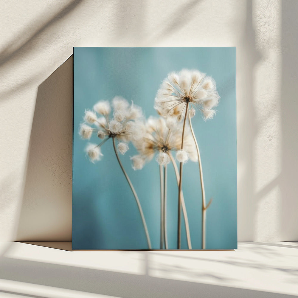 Puffs in der Brise | Leinwand