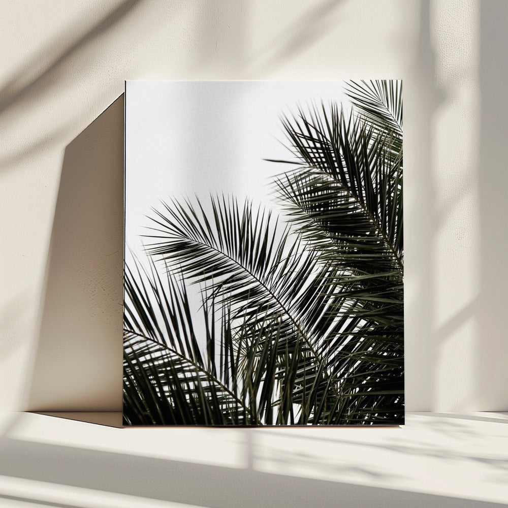 Palmblätter 3 | Leinwand