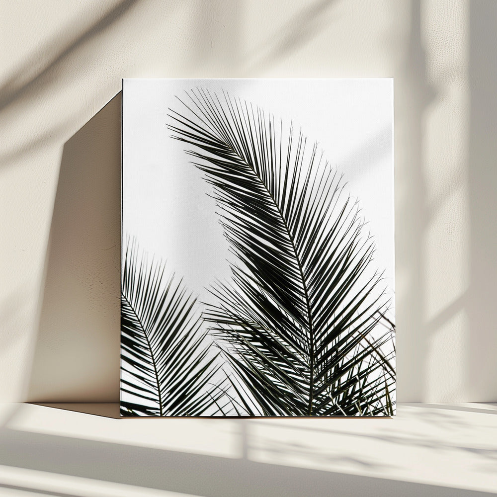 Palmblätter 1 | Leinwand