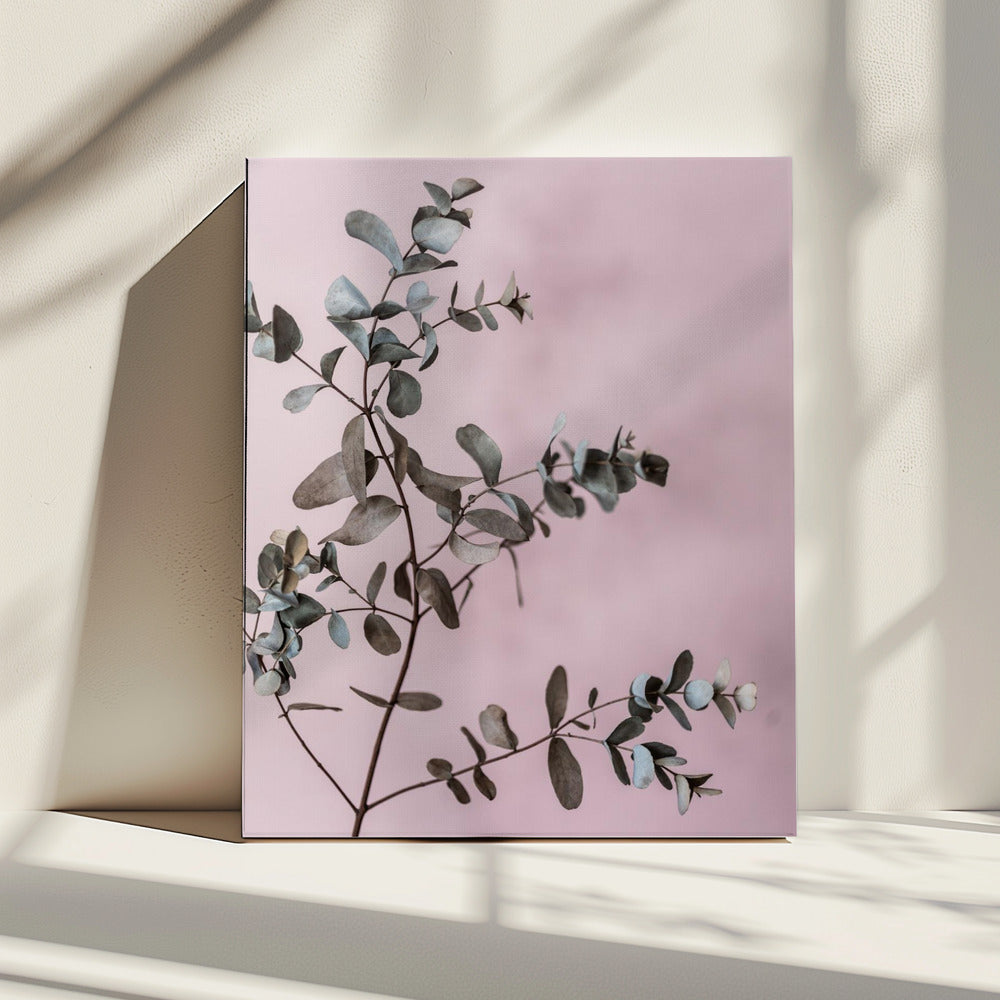 Eukalyptus 12 | Leinwand