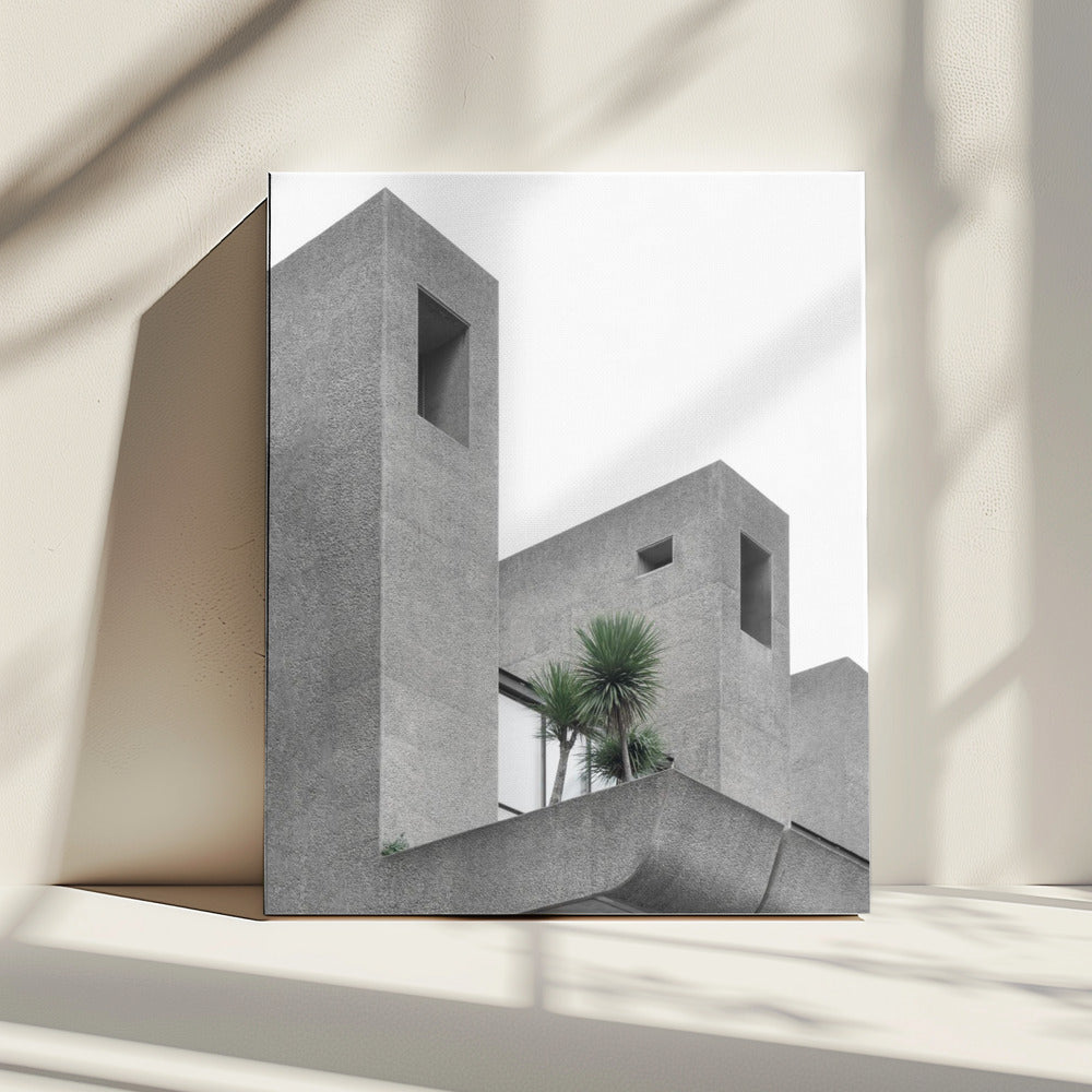 Einsame Palmen Nr. 2 | Leinwand