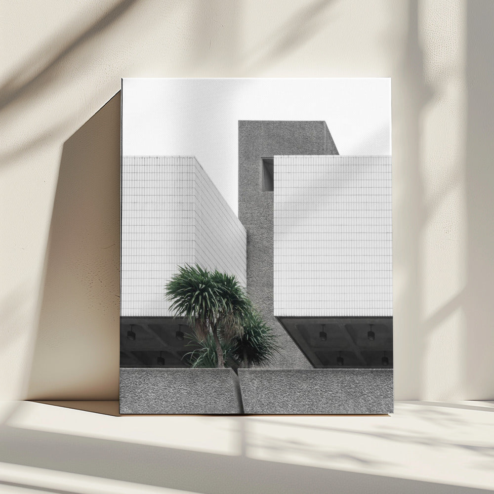 Einsame Palmen | Leinwand