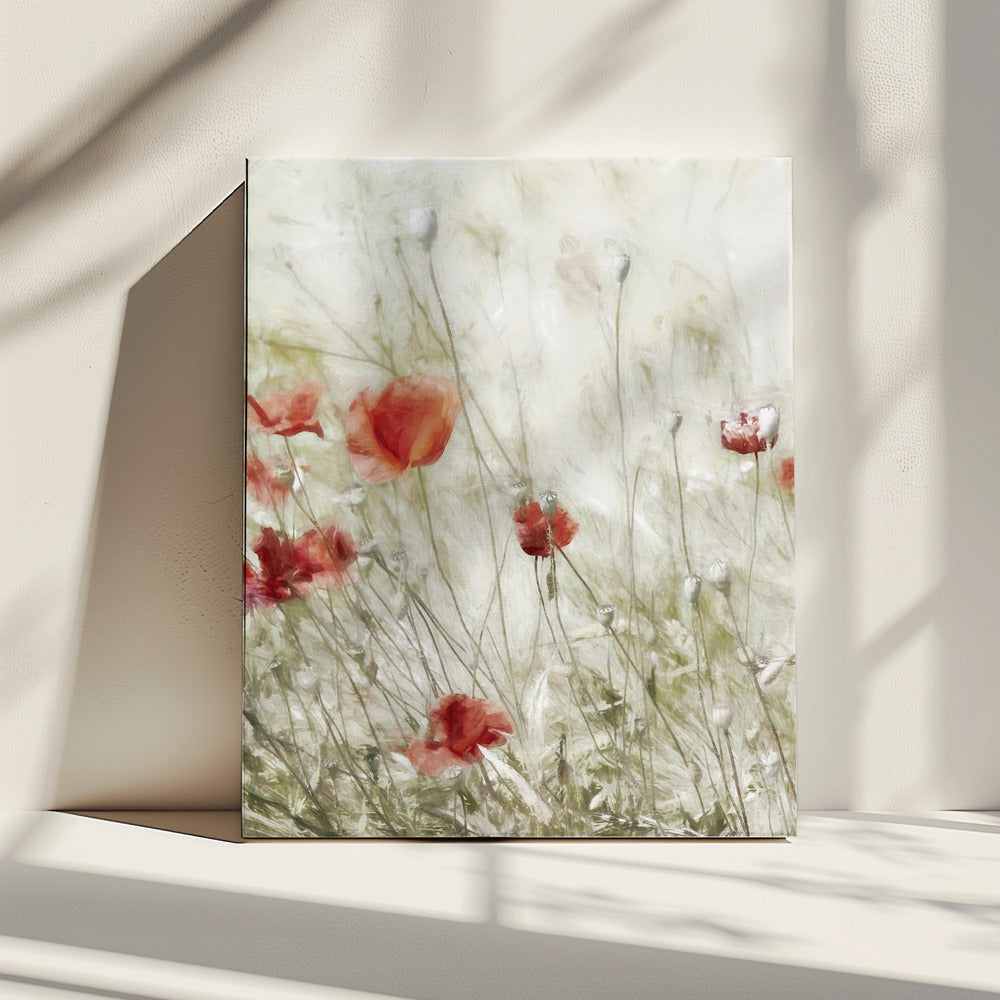 Maisrose | Leinwand