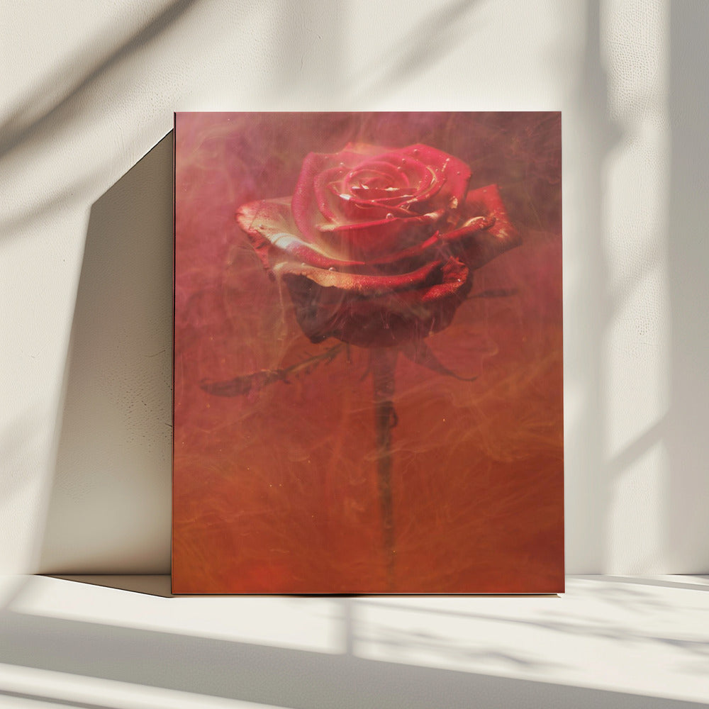 rote Rose und Tinte im Wasser | Leinwand