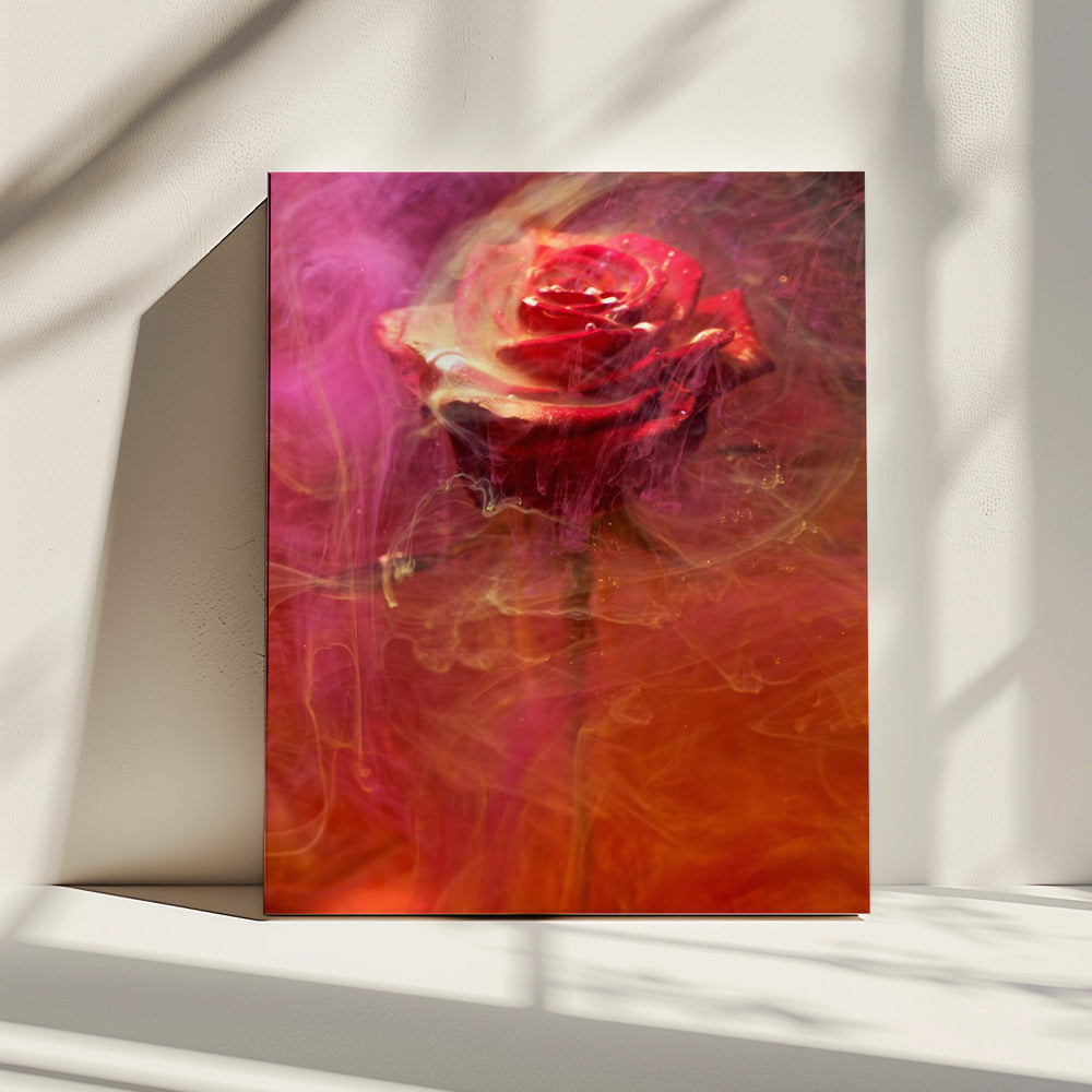 rote Rose und Tinte im Wasser | Leinwand