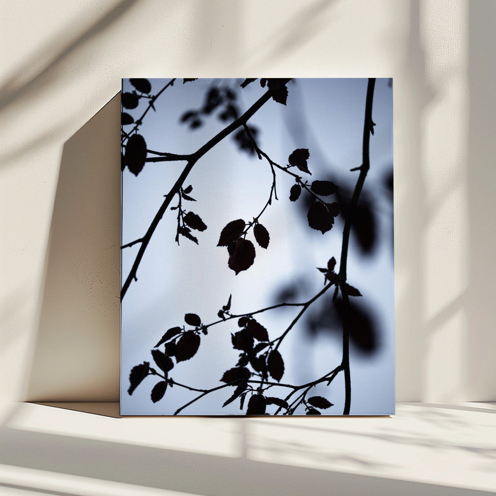 Morgengrauen | Leinwand