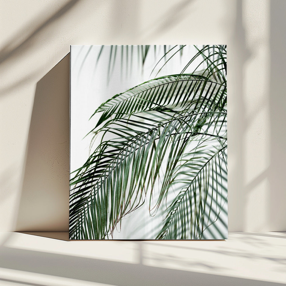 Palmblätter 21 | Leinwand