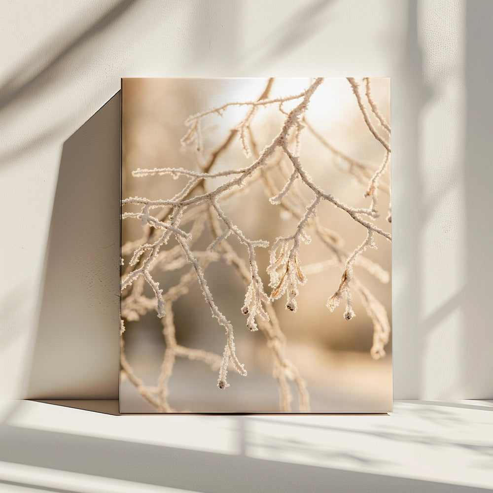 Frosty Morning 6 | Canvas