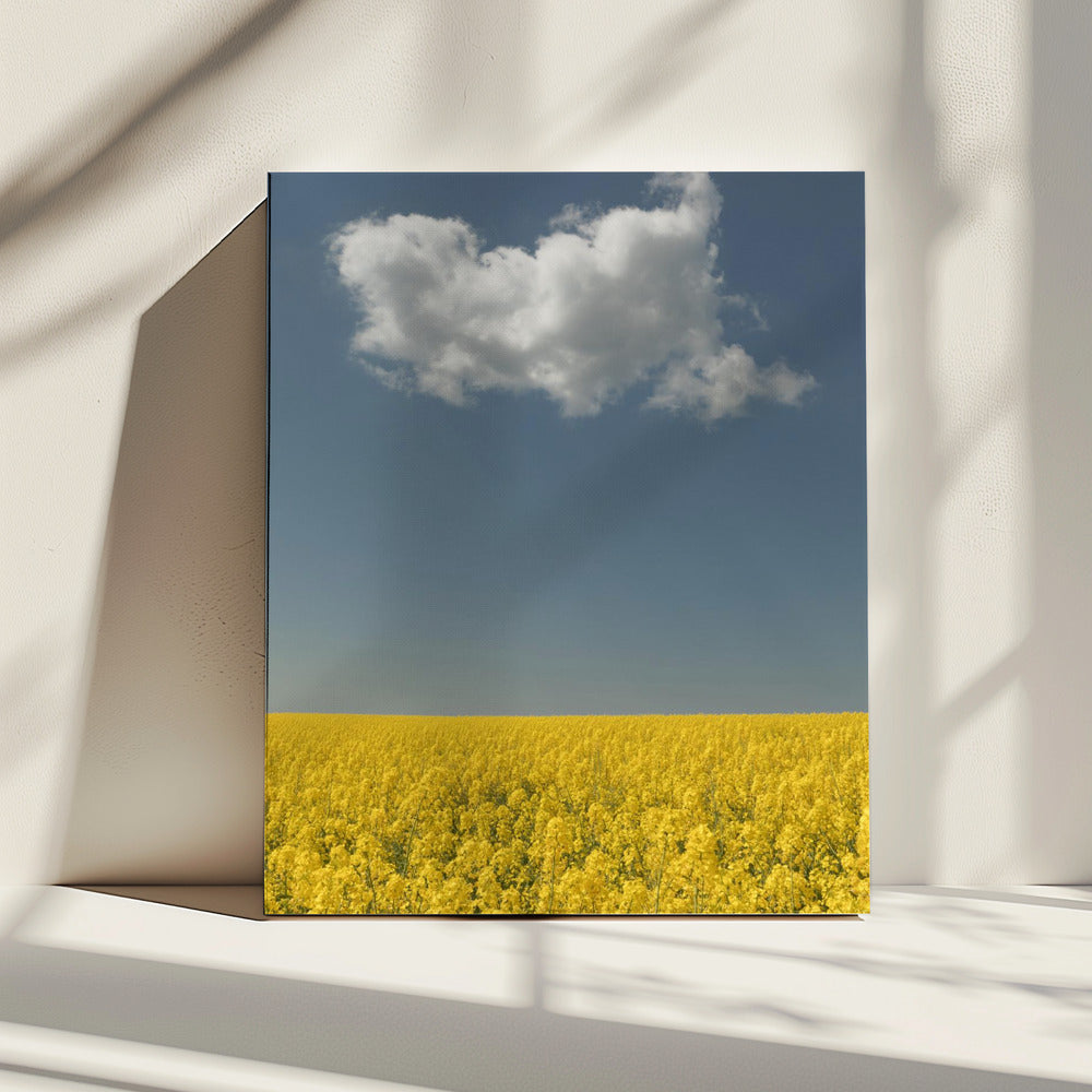 Vision | Canvas