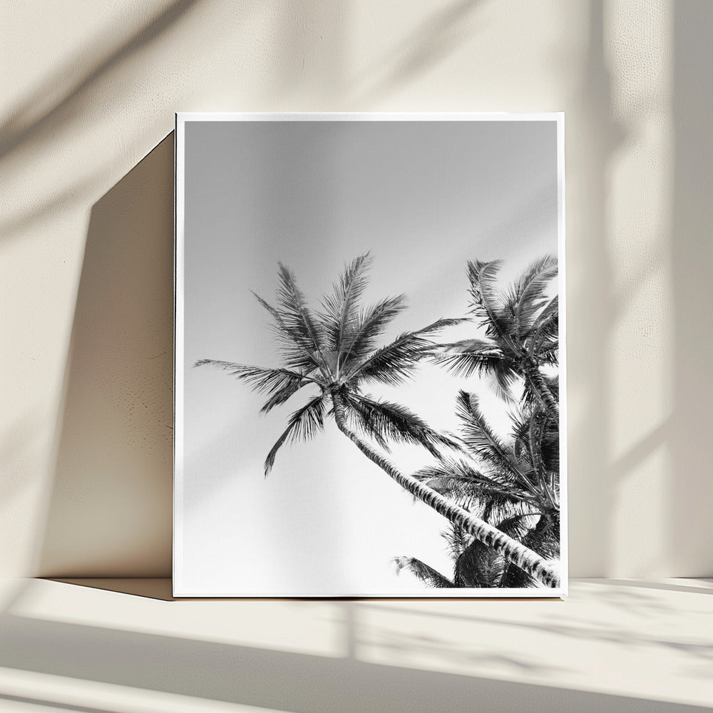Tropische Silhouetten | Leinwand