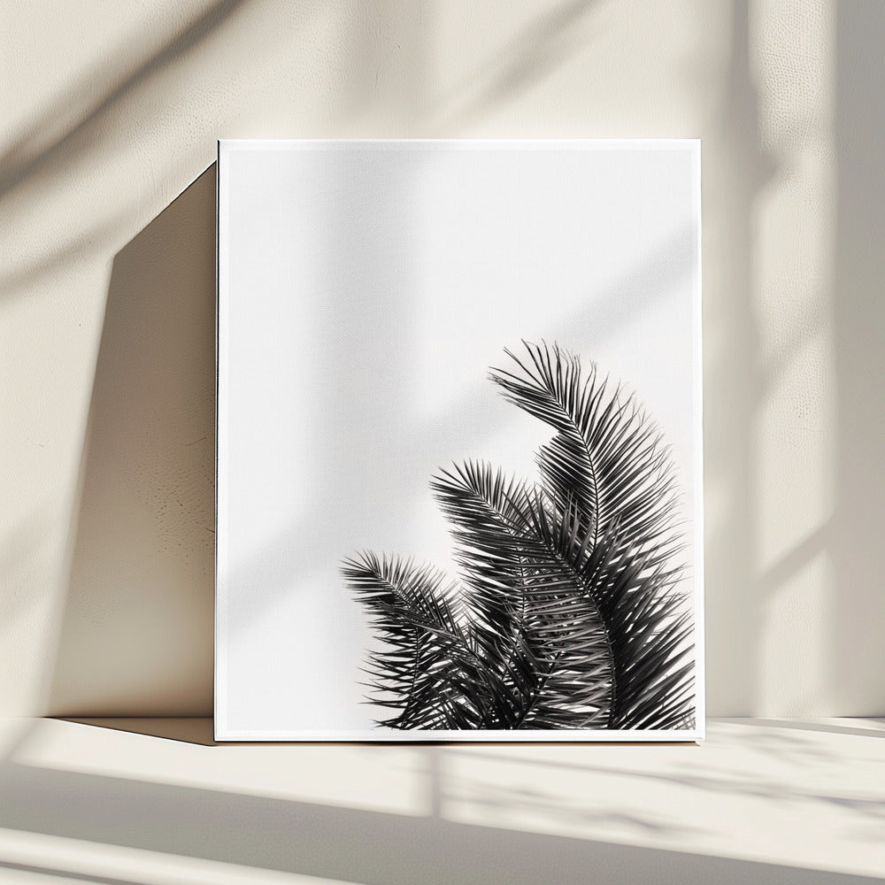 Palmenflüstern | Leinwand