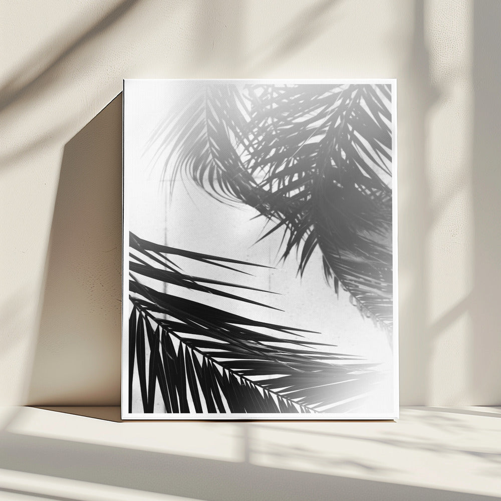 Palmensilhouetten | Leinwand