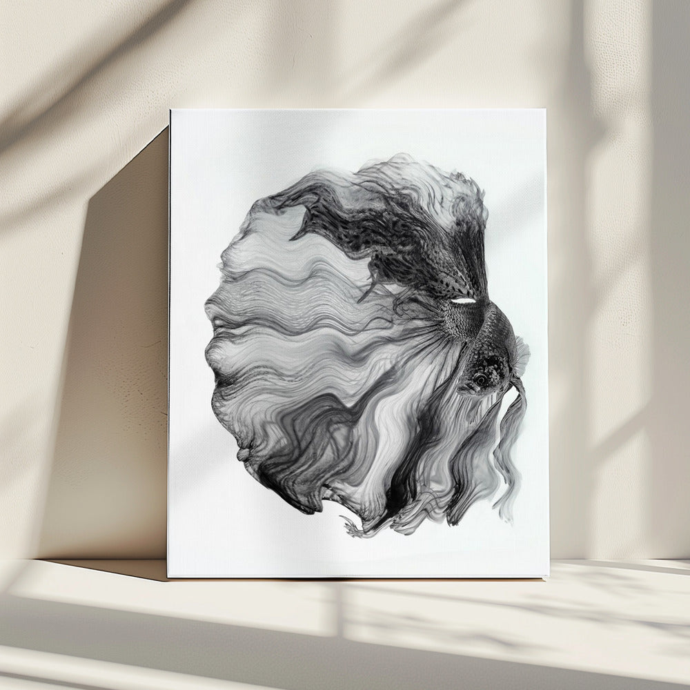 INK BETTA | Canvas
