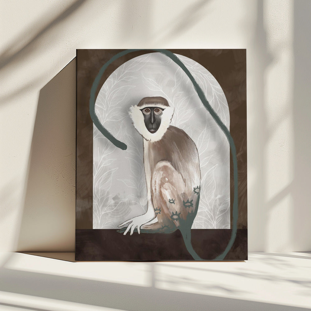 The Vervet | Canvas