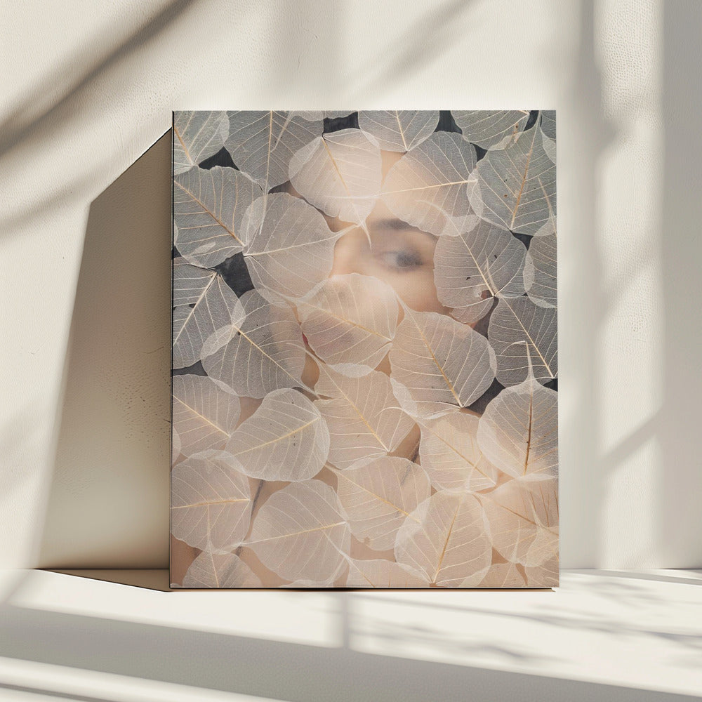 HINTER GLAS | Leinwand