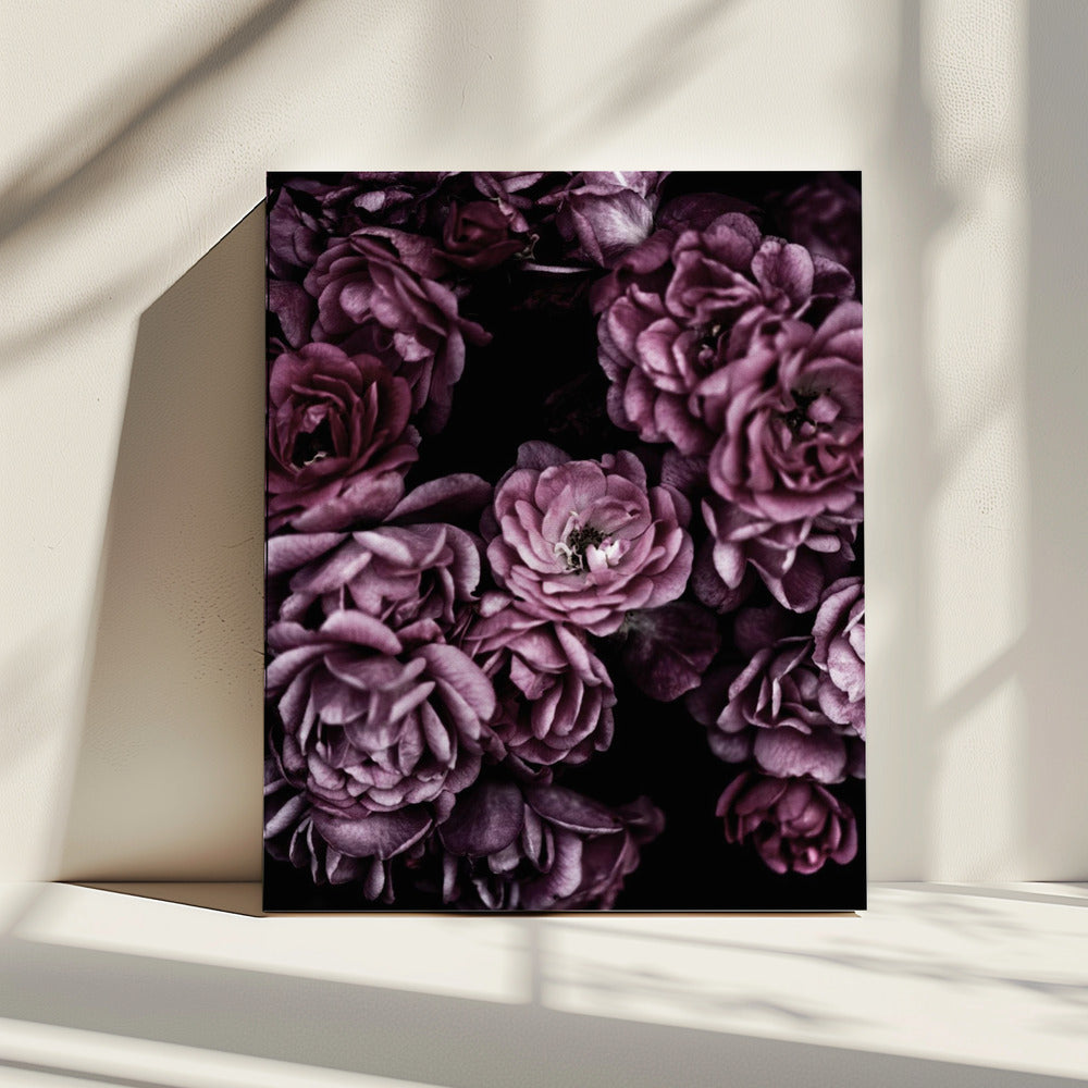 Wilde Rosen | Leinwand