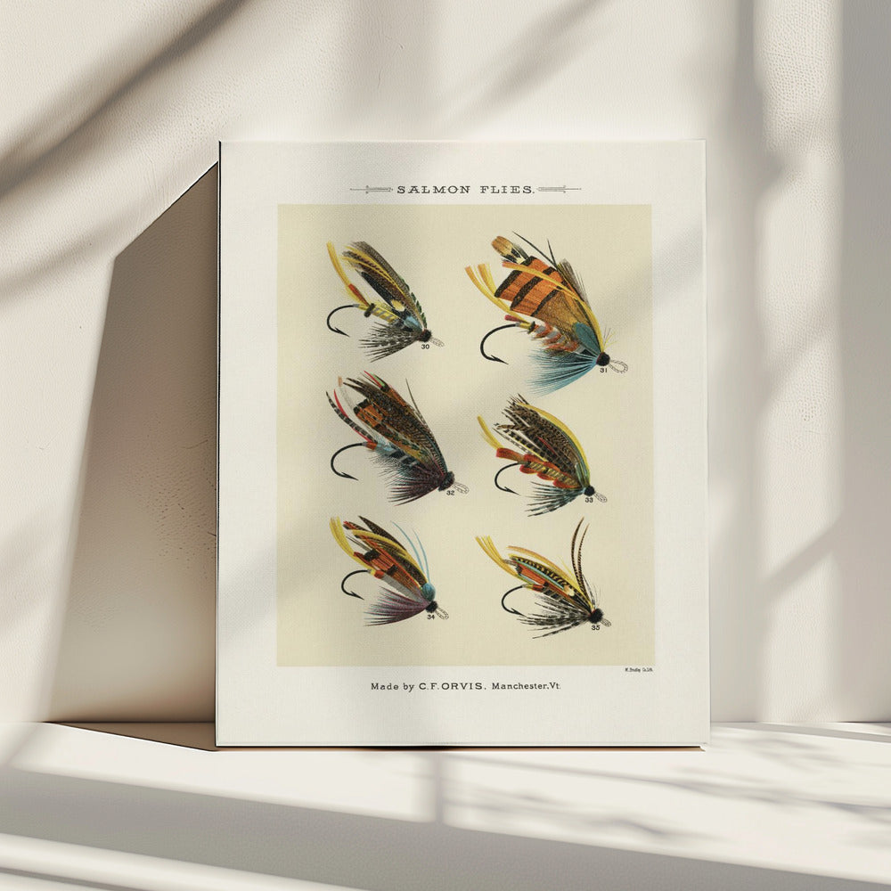 Salmon Fliee 1892 | Canvas