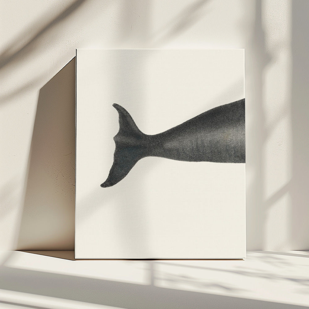 Whale Tight Crop I Handcolored Sealife Lithograph 1824 | Canvas