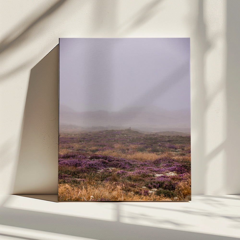 Dünen 1 | Leinwand