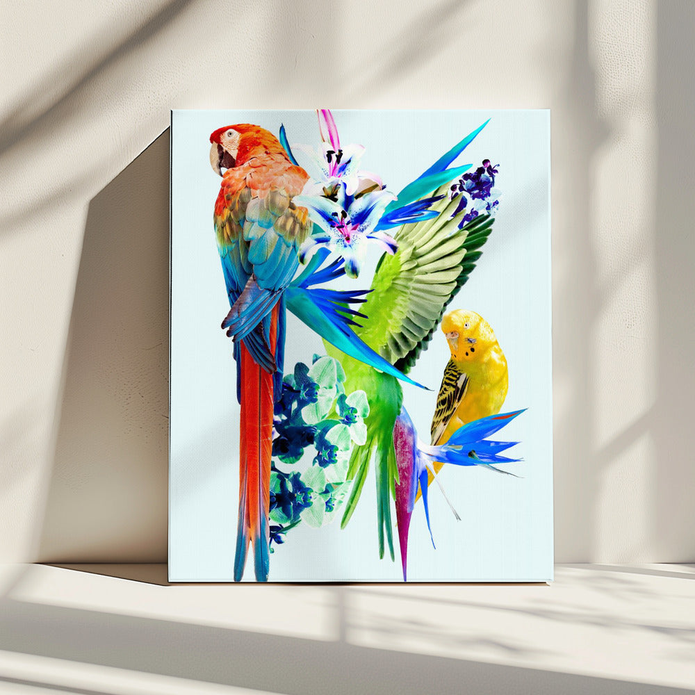 Paradiesvögel I | Leinwand