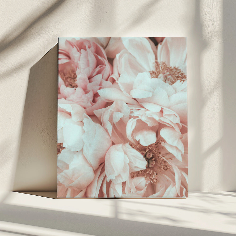 Blossom Mix | Canvas