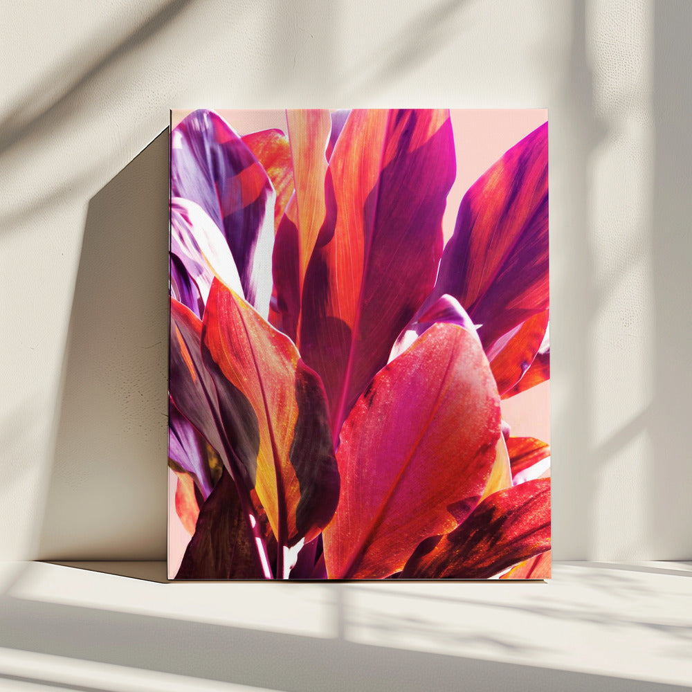 Fuchsia Blätter I | Leinwand