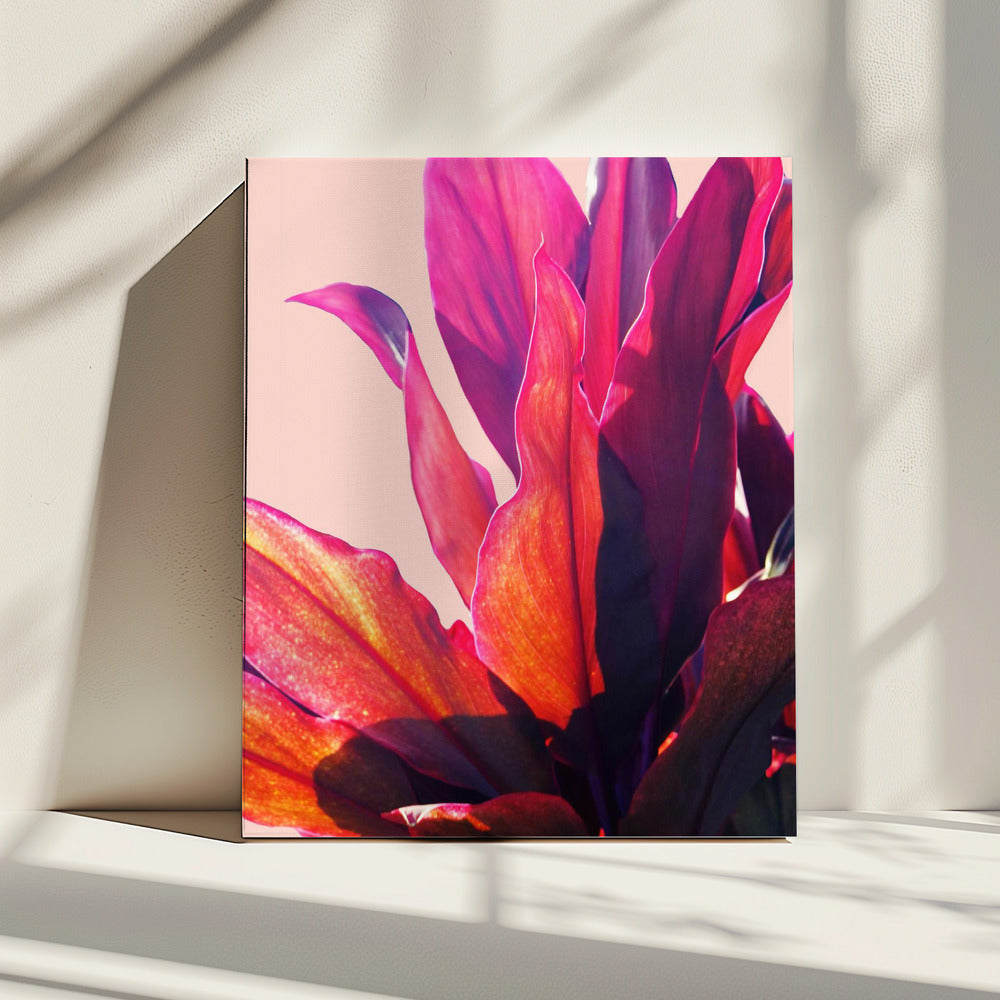 Fuchsia Blätter II | Leinwand