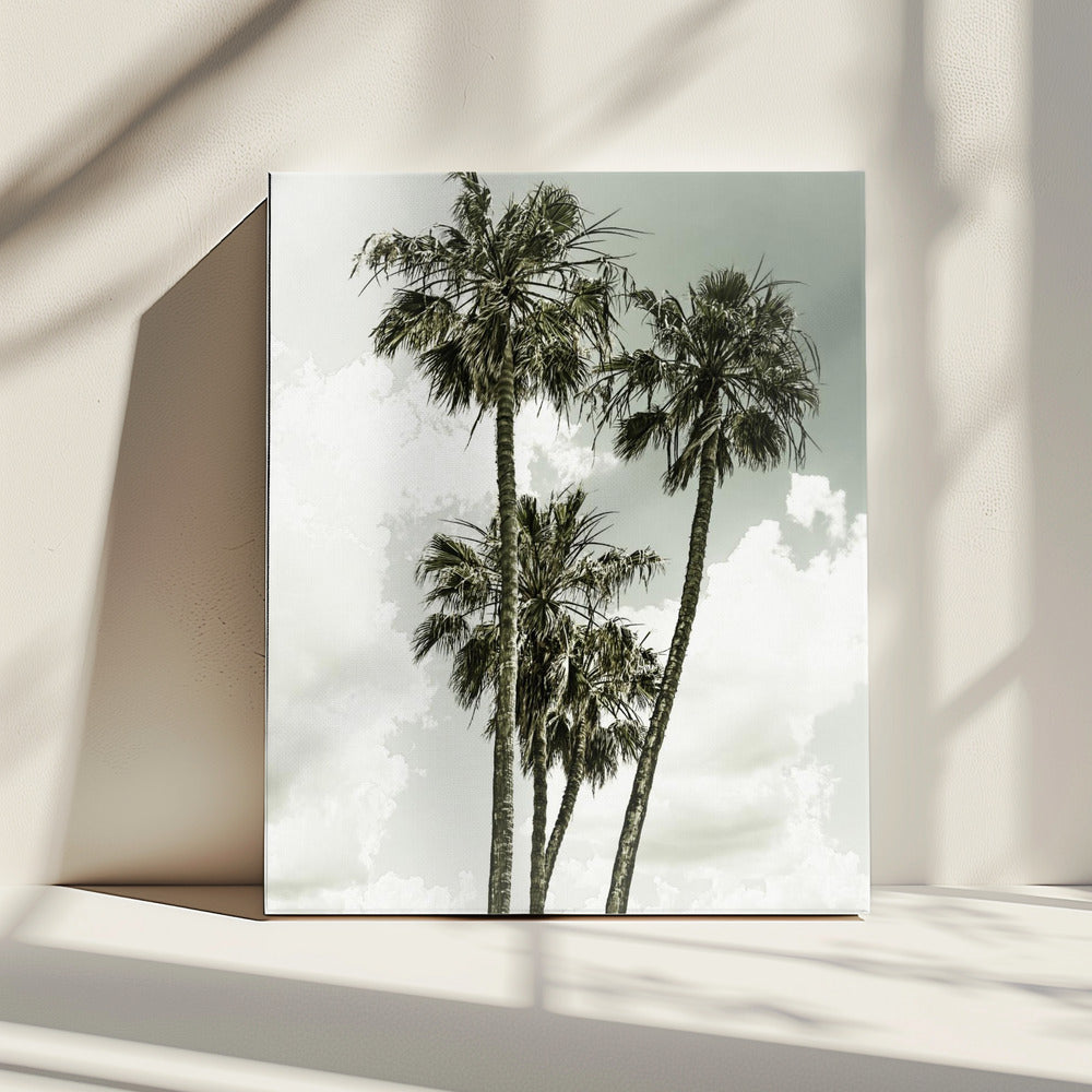 Palmen und Himmel | Vintage | Leinwand