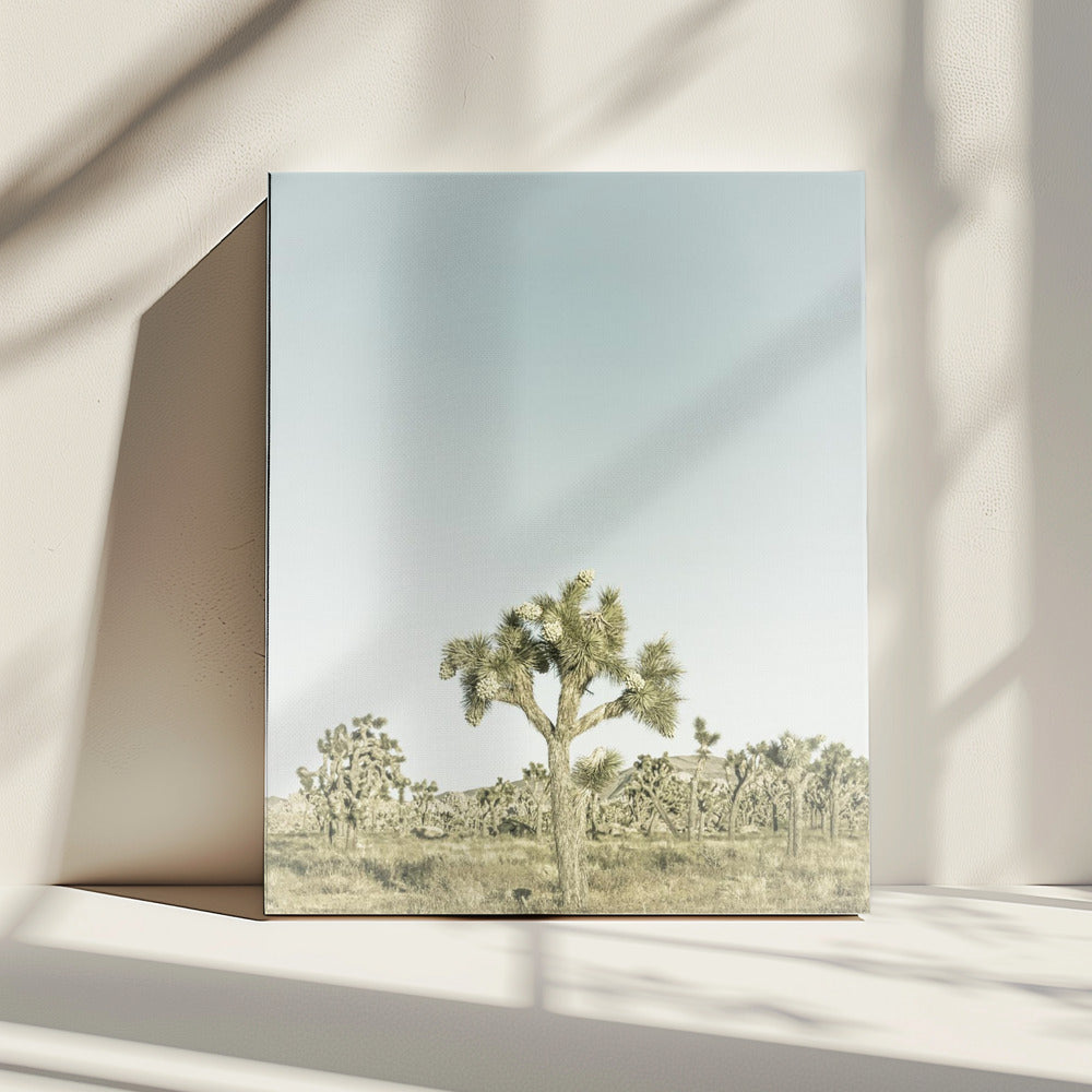 Vintage Joshua Tree Nationalpark | Leinwand