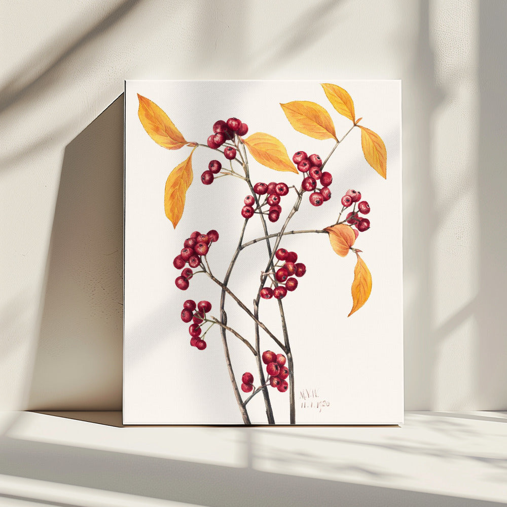 Red Chokeberry (1920) | Canvas