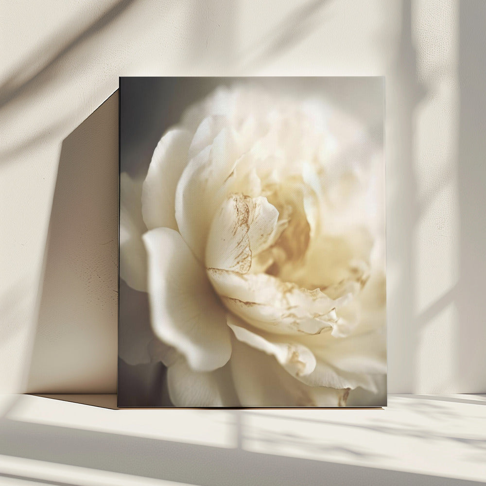 Ätherische Blüte | Leinwand