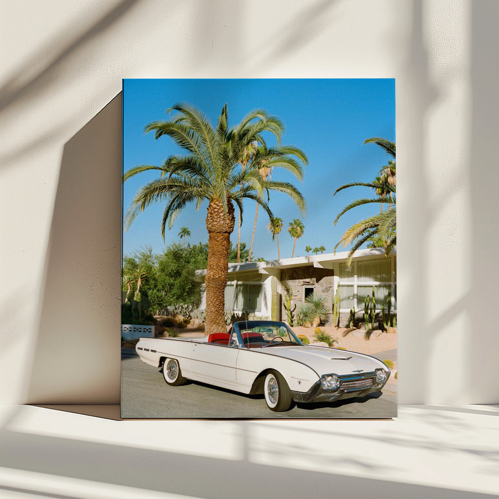 Palm Springs Thunderbird | Leinwand